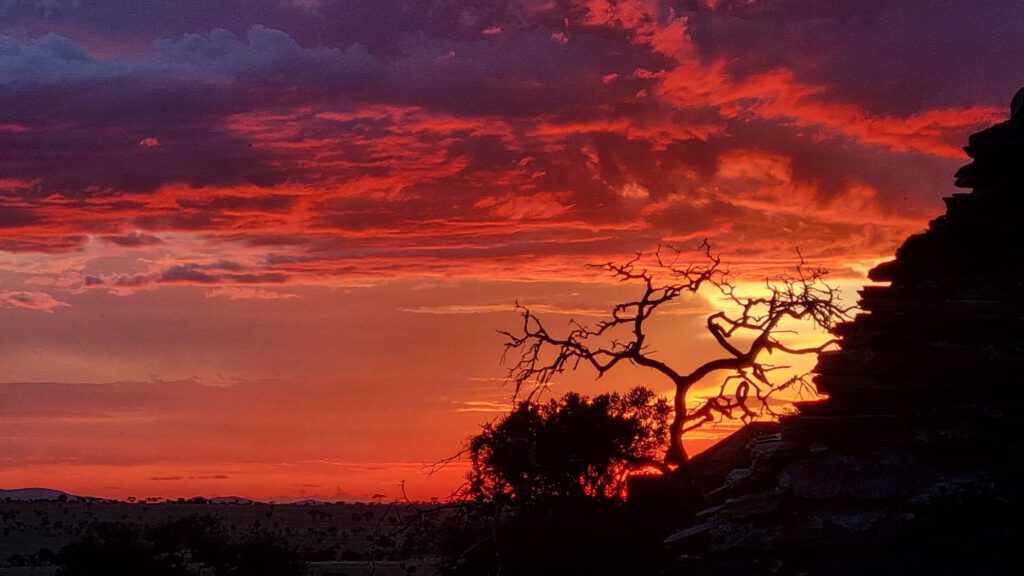 Serengeti Sonnenuntergang