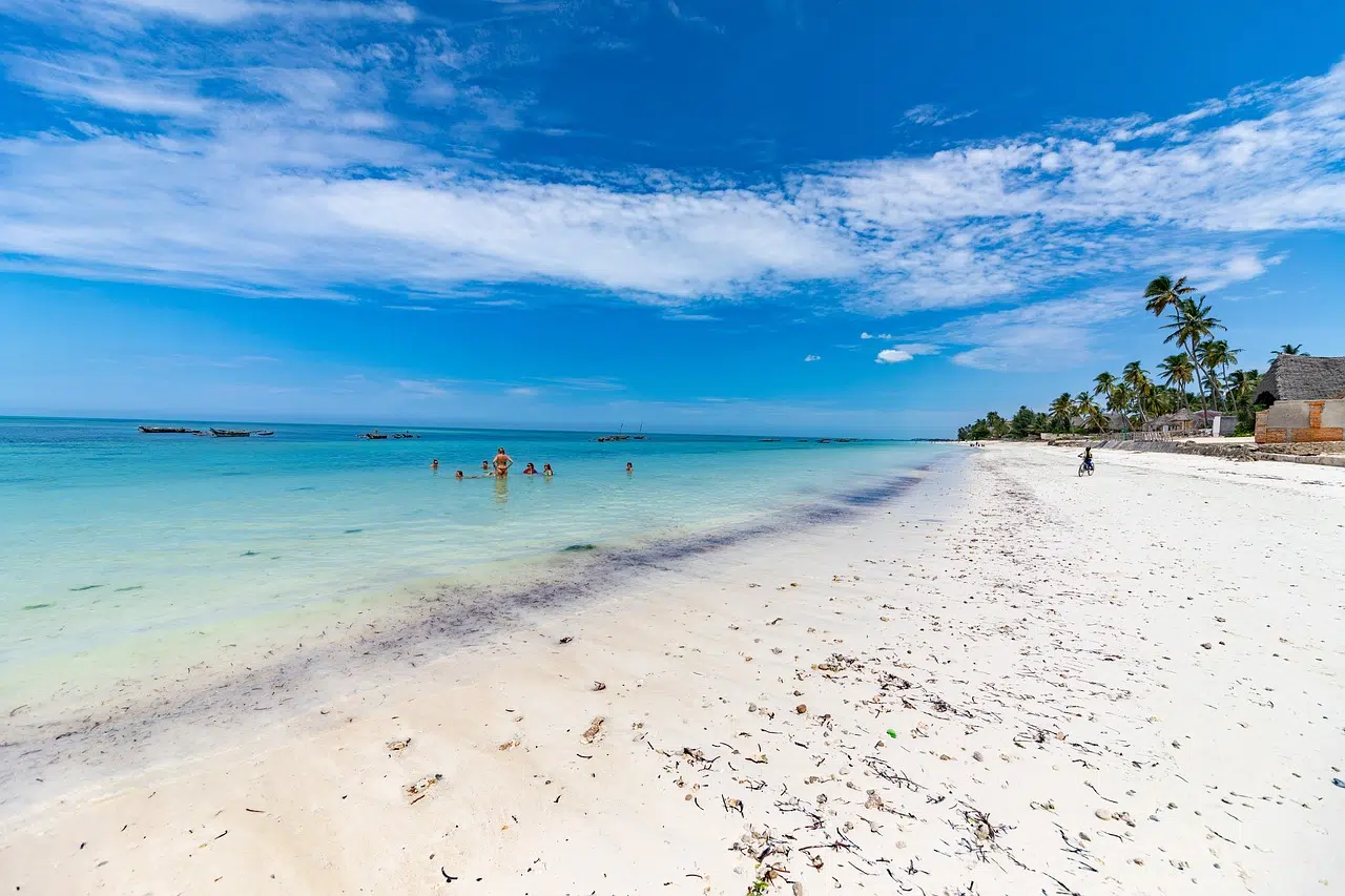 Idyllischer Strand auf Sansibar mit türkisblauem Wasser und Palmen